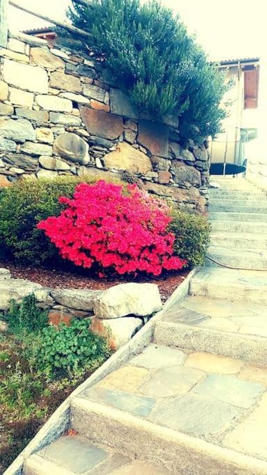 Casa Neva Apartment Cannobio Exterior photo